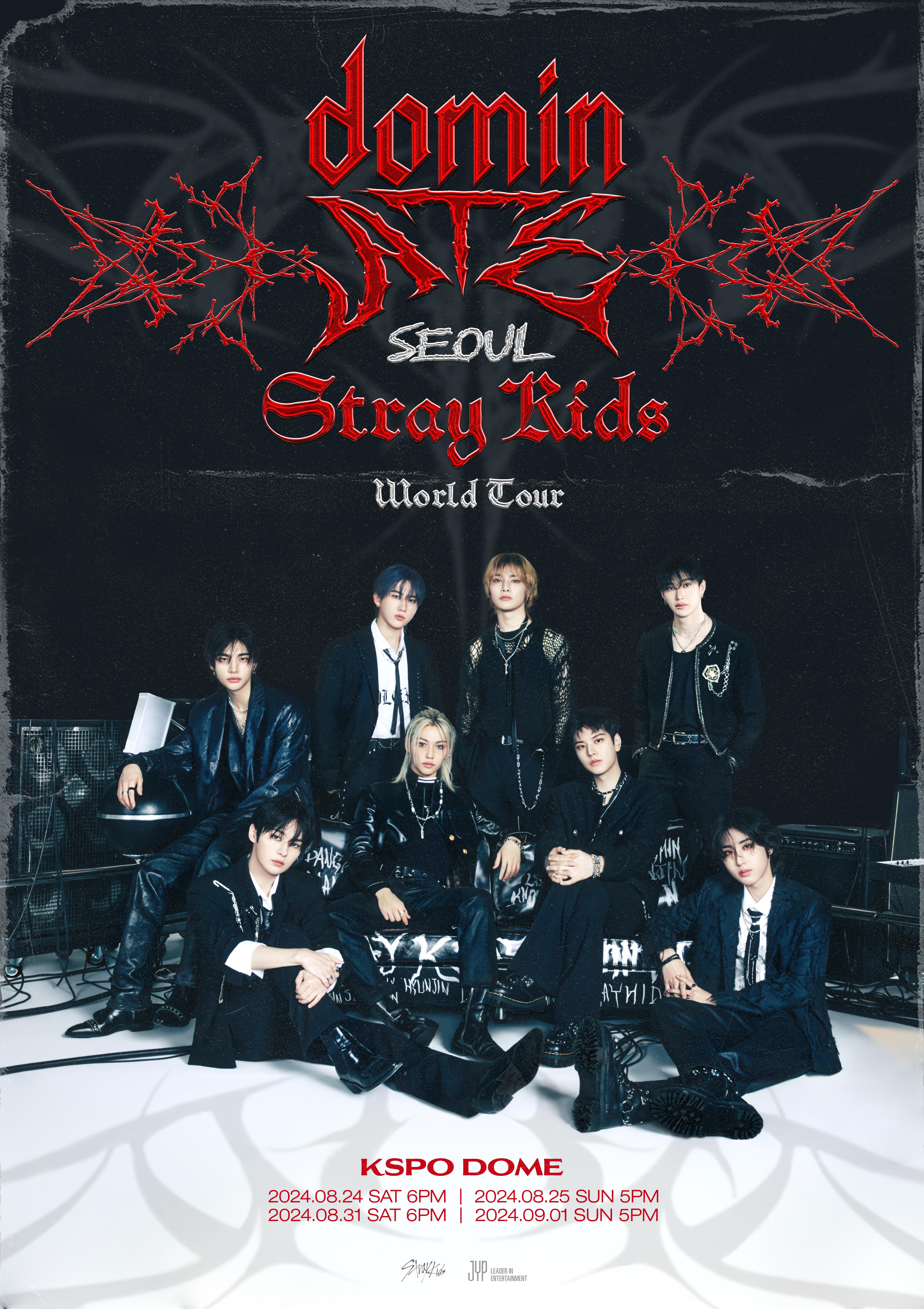 FANS - Stray Kids(스트레이 키즈) World Tour <dominATE SEOUL