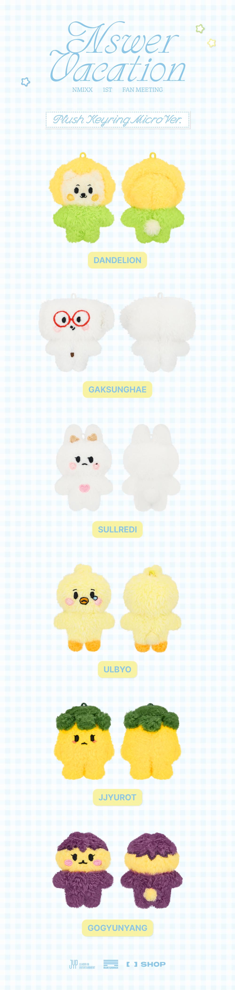 NMIXX NSWER VACATION ソウルコン 6個 ぬいぐるみキーリング NMIXX NSWER VACATION ソウルコン 6個 ぬいぐるみ - メルカリ